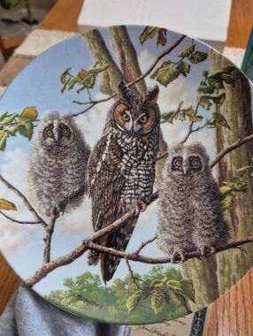 Knowles China "Treetop Trio: Long-eared Owls" Collectible Plate #510B-1992